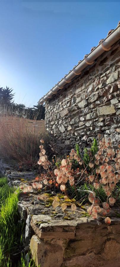 Maison De Village 4 A 6 Pers A 5 Min De La Mer Brétignolles-sur-Mer Εξωτερικό φωτογραφία